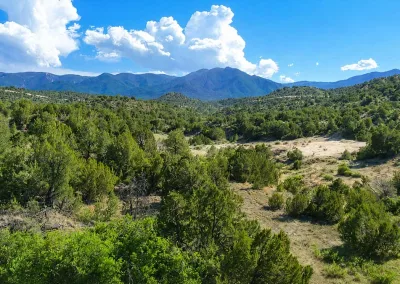 Cedar Springs Ranch