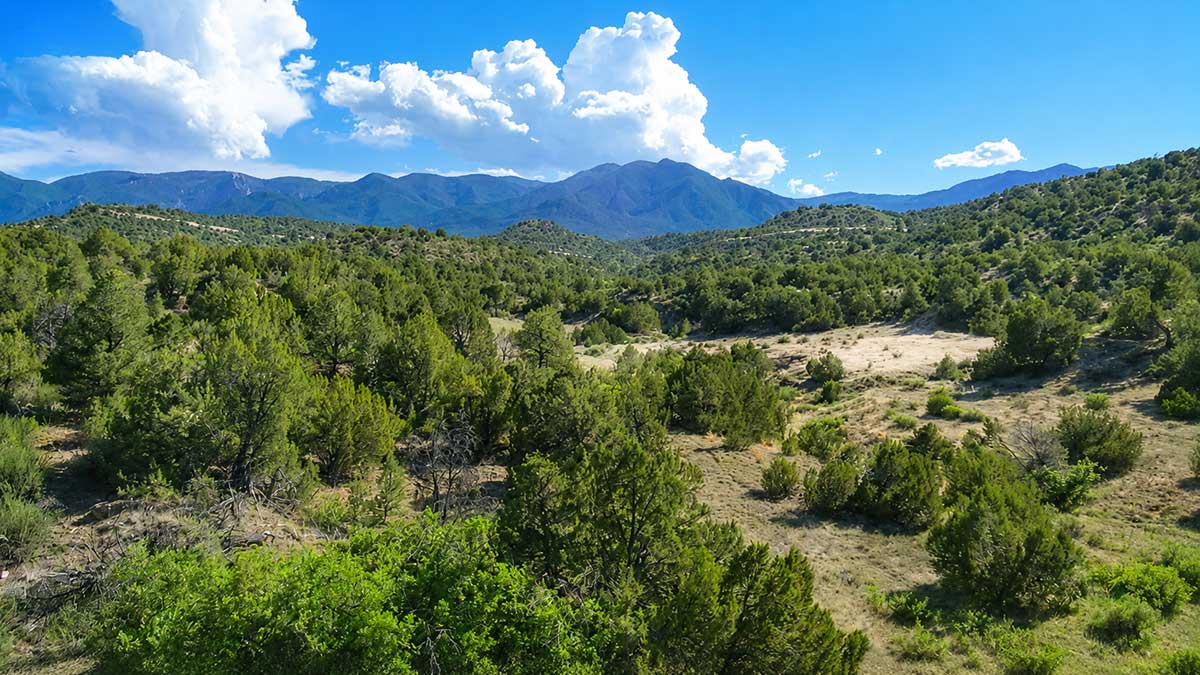 Cedar Springs Ranch