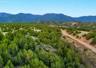 Cedar Springs Ranch