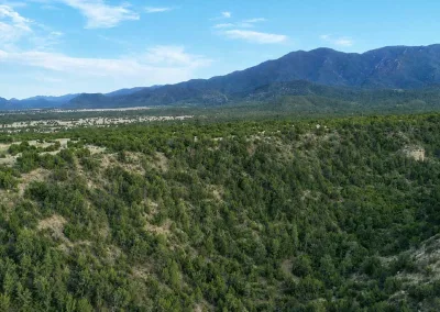 Cedar Springs Ranch