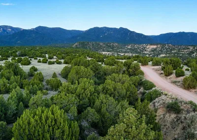 Cedar Springs Ranch
