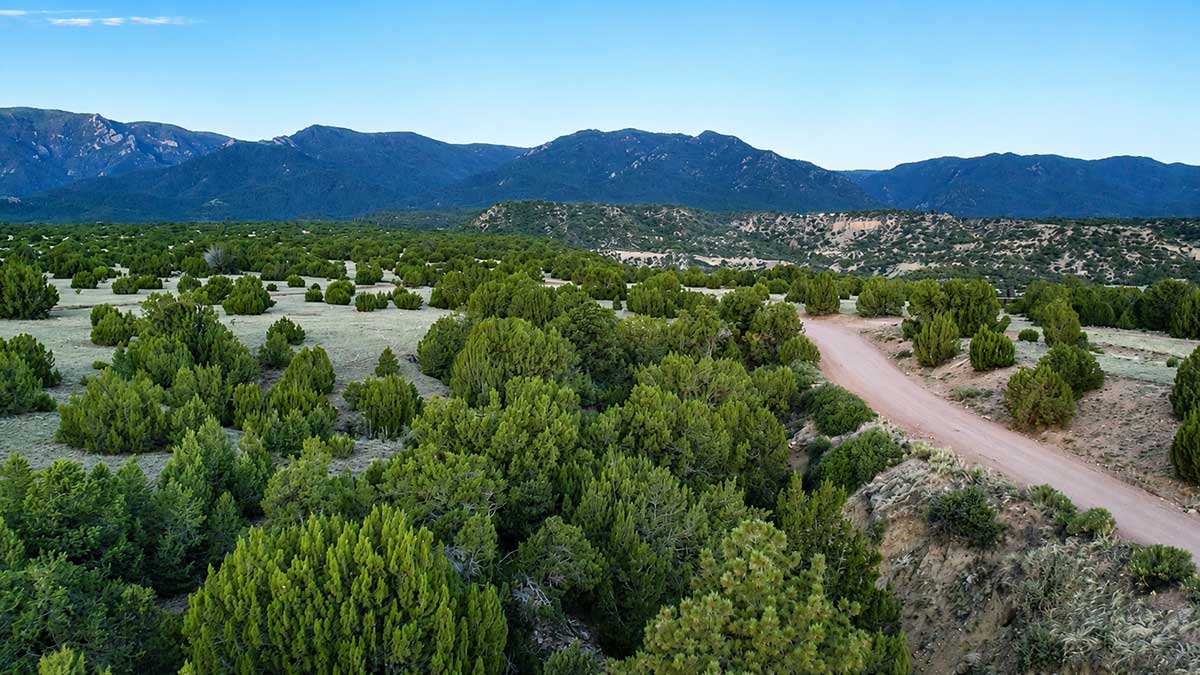 Cedar Springs Ranch