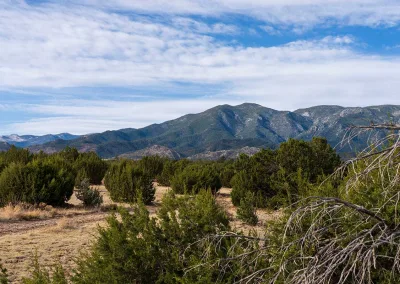 Cedar Springs Ranch