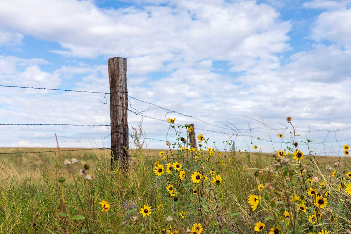 Vista Ranch